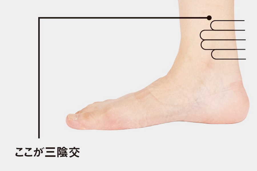 三陰交