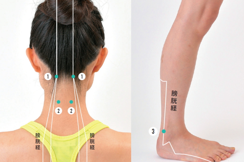 肩こり解消ツボ